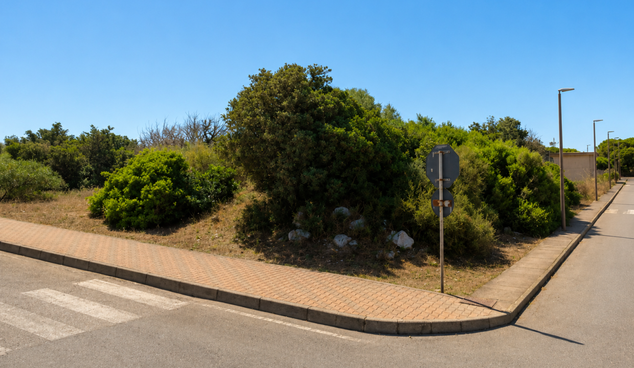 ChatGPT Image 11 mag 2026, 13_55_11