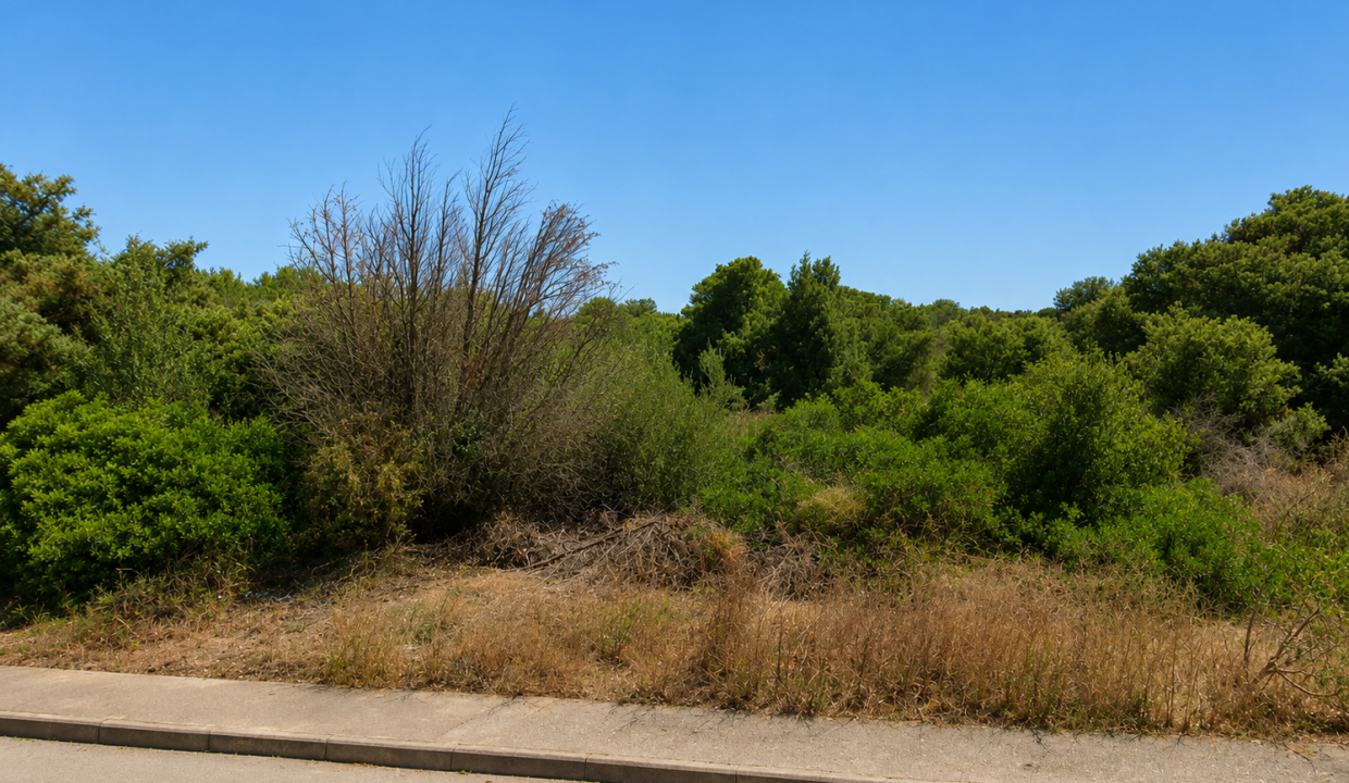 ChatGPT Image 11 mag 2026, 13_57_02