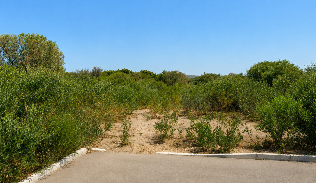 ChatGPT Image 11 mag 2026, 13_58_44
